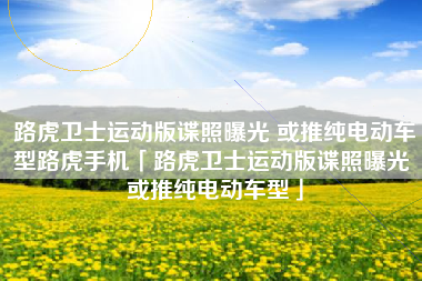 路虎卫士运动版谍照曝光 或推纯电动车型路虎手机「路虎卫士运动版谍照曝光 或推纯电动车型」